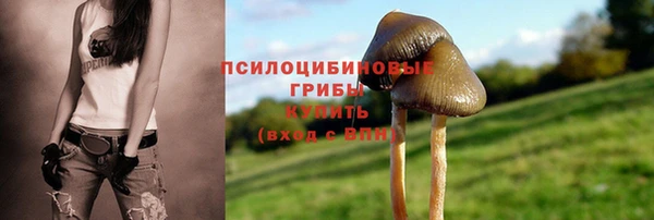 каннабис Нефтекумск
